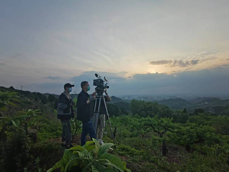创意破圈！霍山县电商产品宣传视频用故事化叙事引爆流量