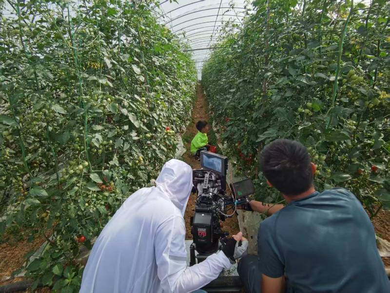 霍山县产品宣传视频拍摄公司进阶指南，助力品牌抢占传播高地